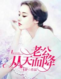 颜梦凌浩南小说 《老公从天而降》小说全文在线试读