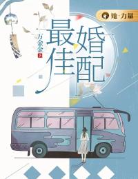 《最佳婚配》小说全文在线试读 姜宥洛西行小说阅读