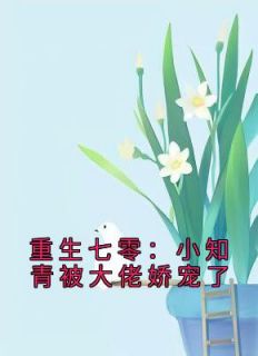 《重生七零：小知青被大佬娇宠了》苏妙妙姜景川章节精彩阅读