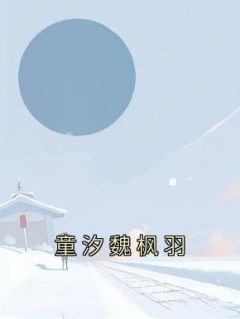 《童汐魏枫羽》小说完结版在线阅读 童汐魏枫羽小说阅读