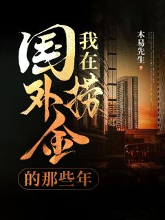 我在国外捞金的那些年免费阅读 杨子浩刘伟的小说免费试读