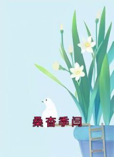 桑杳季闫小说全文精彩章节免费试读（桑杳季闫）