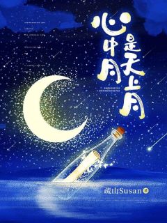 《心中月是天上月》小说完结版在线阅读 月言关阅川小说阅读