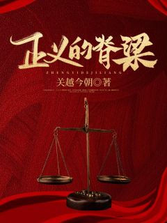 《正义的脊梁》小说章节在线阅读 赵林然金有财小说阅读